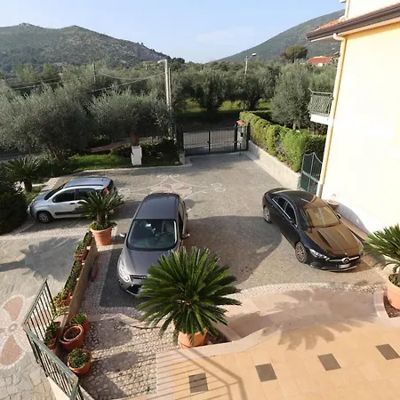 Oliveto